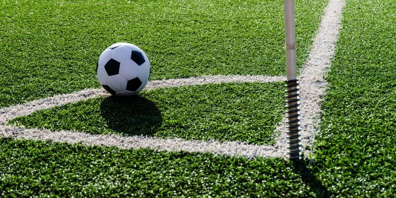 Mẹo độc đáo để bạn tối ưu lợi nhuận nhanh chóng